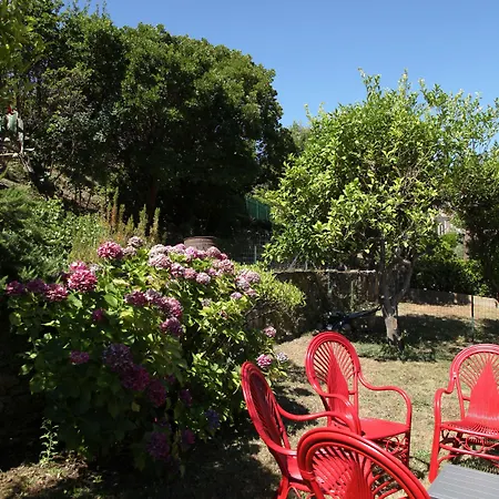U Pozzu Hotel Sisco